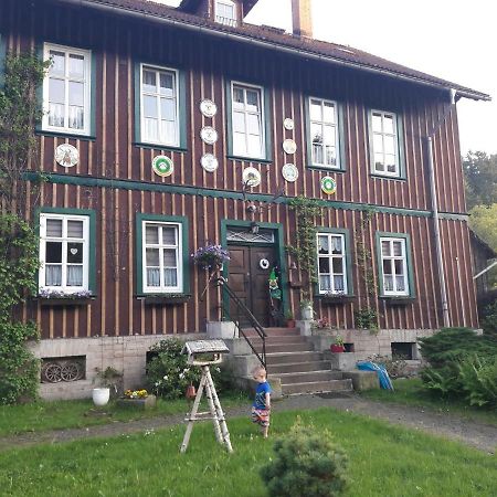 Alte Forsterei Apartman Altenbrak Kültér fotó
