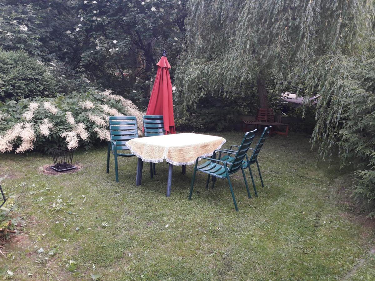 Alte Forsterei Apartman Altenbrak Kültér fotó