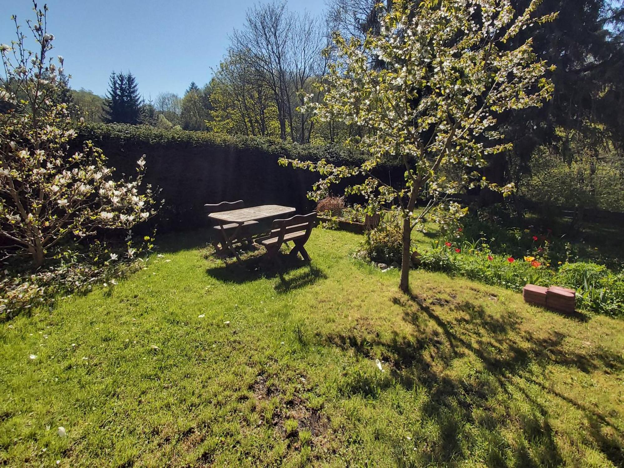 Alte Forsterei Apartman Altenbrak Szoba fotó