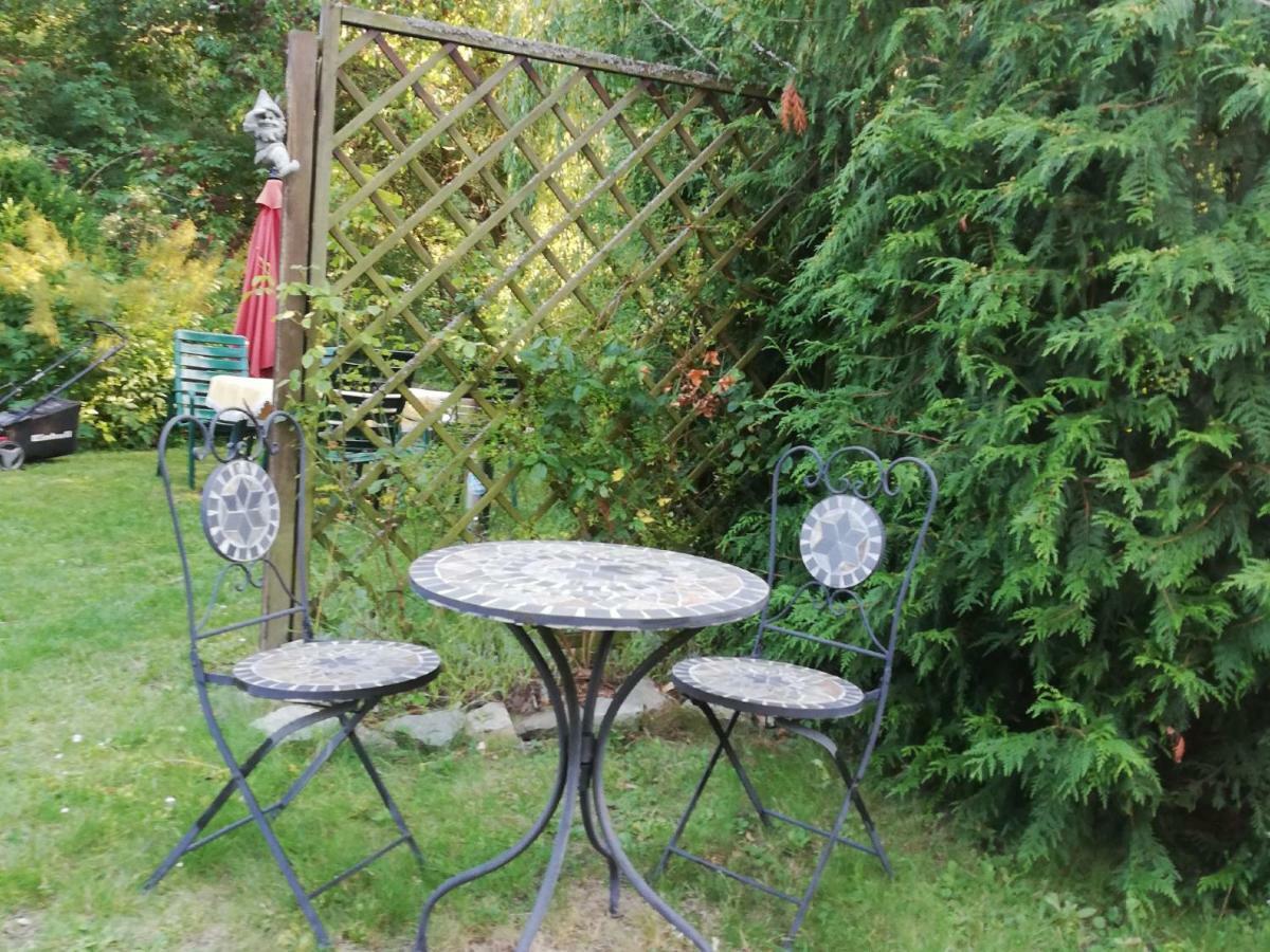 Alte Forsterei Apartman Altenbrak Kültér fotó